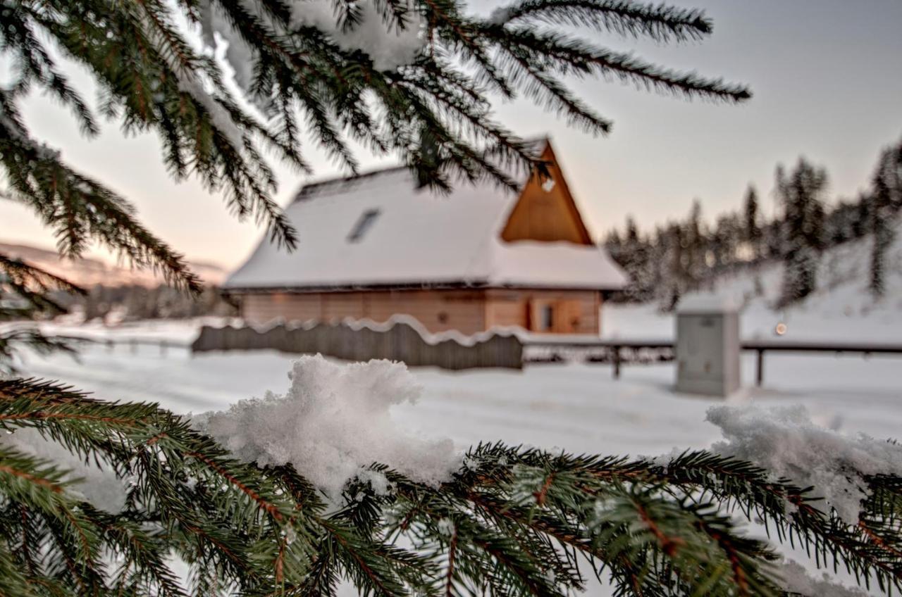 Jedroskowe Chatki Witów Exterior foto